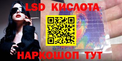 гидра Ставрополь