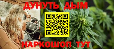 гидра Ставрополь