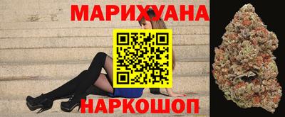 гидра Ставрополь