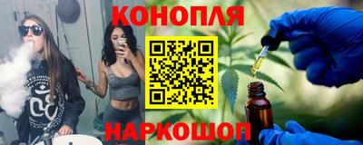 гидра Ставрополь