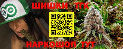 гидра Ставрополь