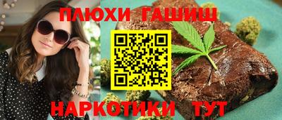 гидра Ставрополь