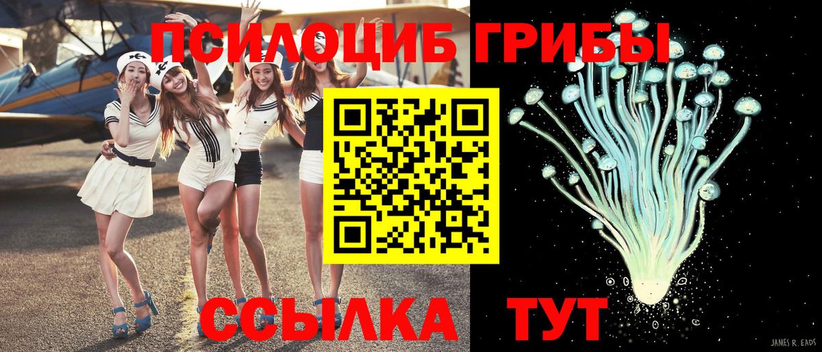 Галлюциногенные грибы ЛСД  Вход с VPN  Волгодонск 