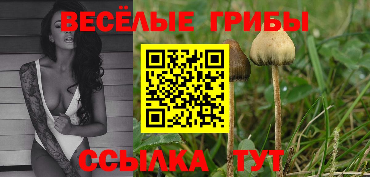 Галлюциногенные грибы ЛСД Волгодонск